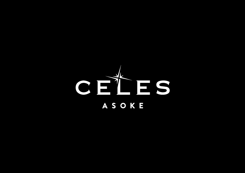 Celes Asoke - conspiracy creative digital agency