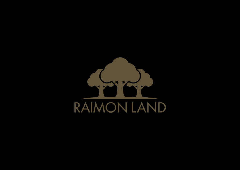 RAIMON LAND CORPORATE - conspiracy creative digital agency