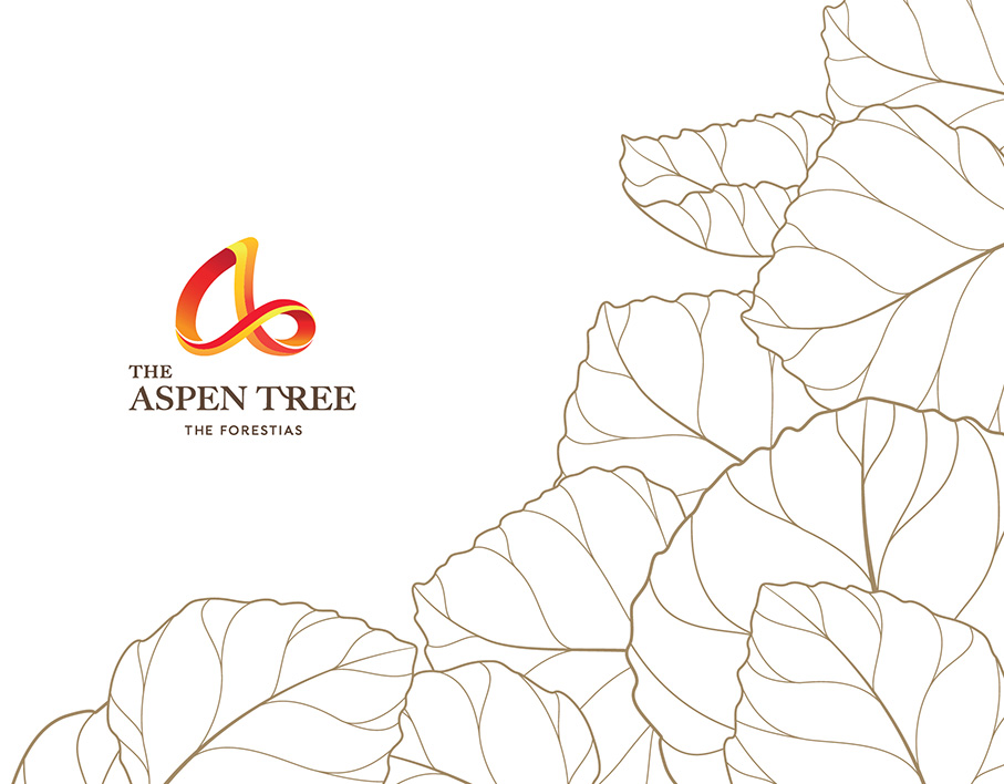 Aspen Tree - conspiracy creative digital agency
