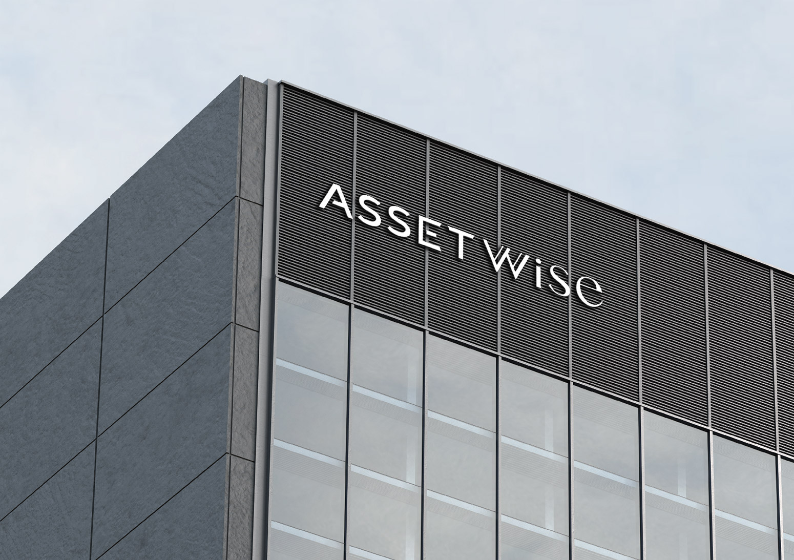 Assetwise - conspiracy creative digital agency